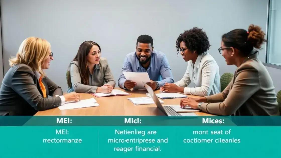  Diferença entre empréstimo para MEI, microempresa e empresas maiores